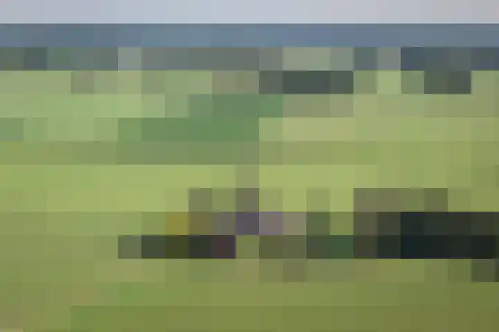 Geesinkweg 12 Warnsveld thumbnail 59
