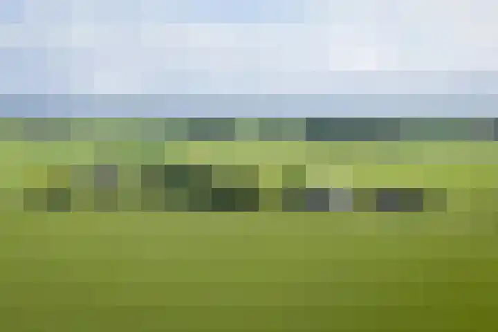 Geesinkweg 12 Warnsveld thumbnail 60
