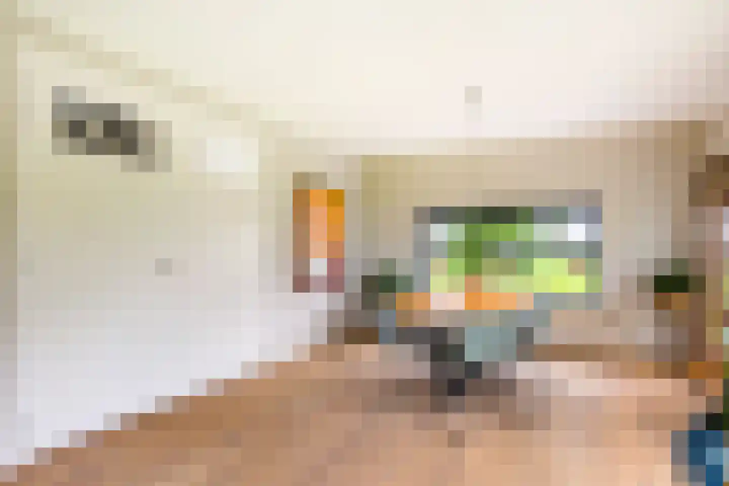 Geesinkweg 7 a Warnsveld thumbnail 5