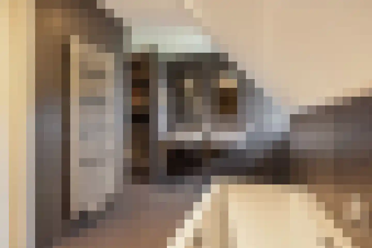 Geesinkweg 7 a Warnsveld thumbnail 51