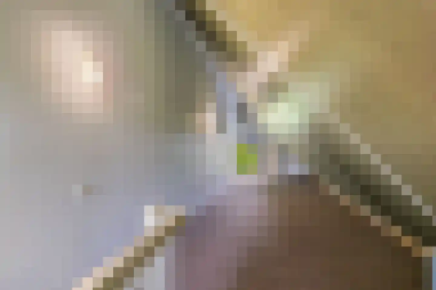 Geesinkweg 7 a Warnsveld thumbnail 64