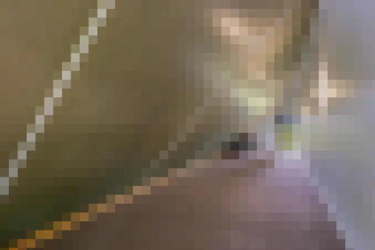 Geesinkweg 7 a Warnsveld thumbnail 65
