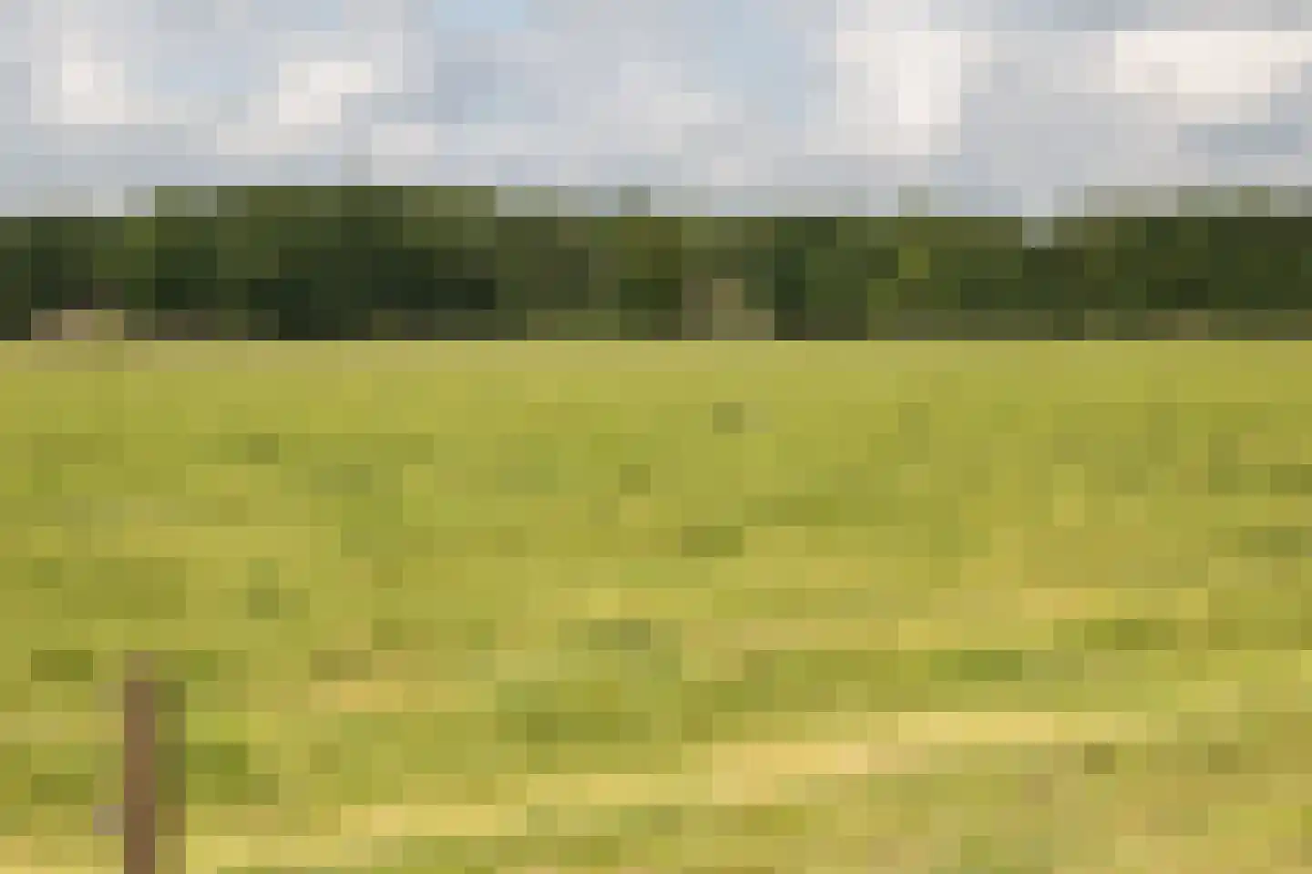 Geesinkweg 7 a Warnsveld thumbnail 58