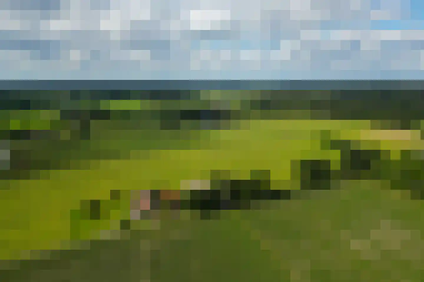 Geesinkweg 7 a Warnsveld thumbnail 87