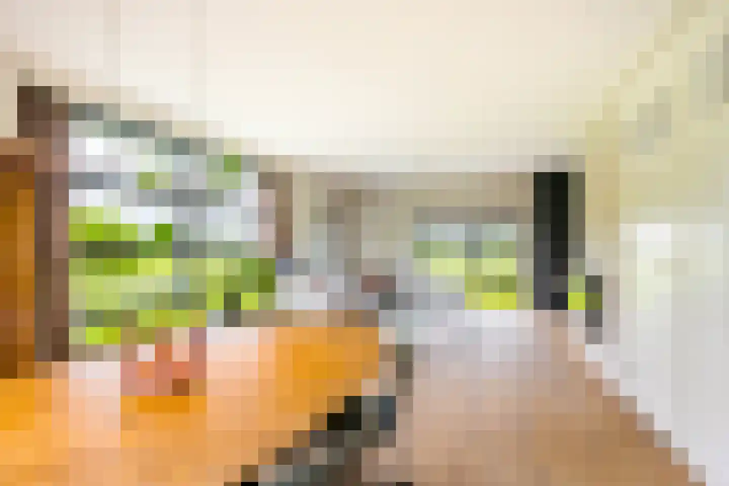 Geesinkweg 7 a Warnsveld thumbnail 9