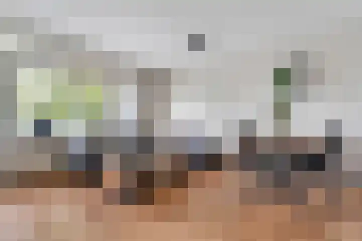 Geessinkweg 189 Enschede thumbnail 13