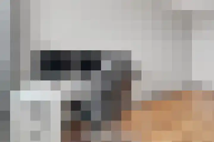 Geessinkweg 189 Enschede thumbnail 33
