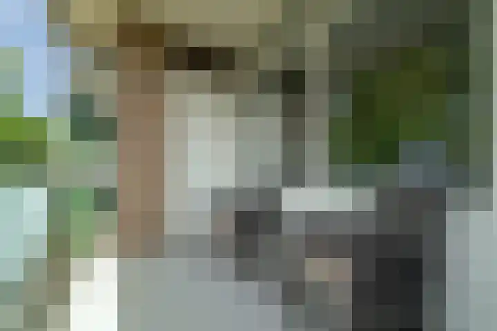 Geessinkweg 189 Enschede thumbnail 35