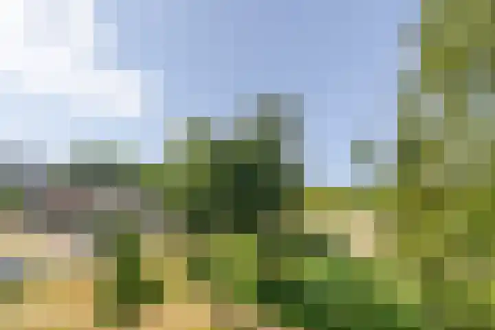 Geessinkweg 189 Enschede thumbnail 37