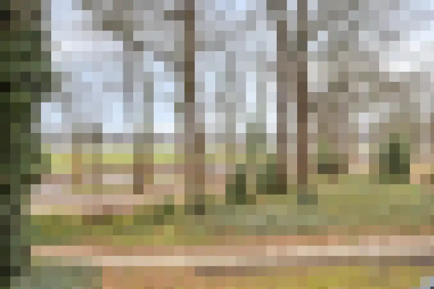Geessinkweg 303 A Enschede thumbnail 9