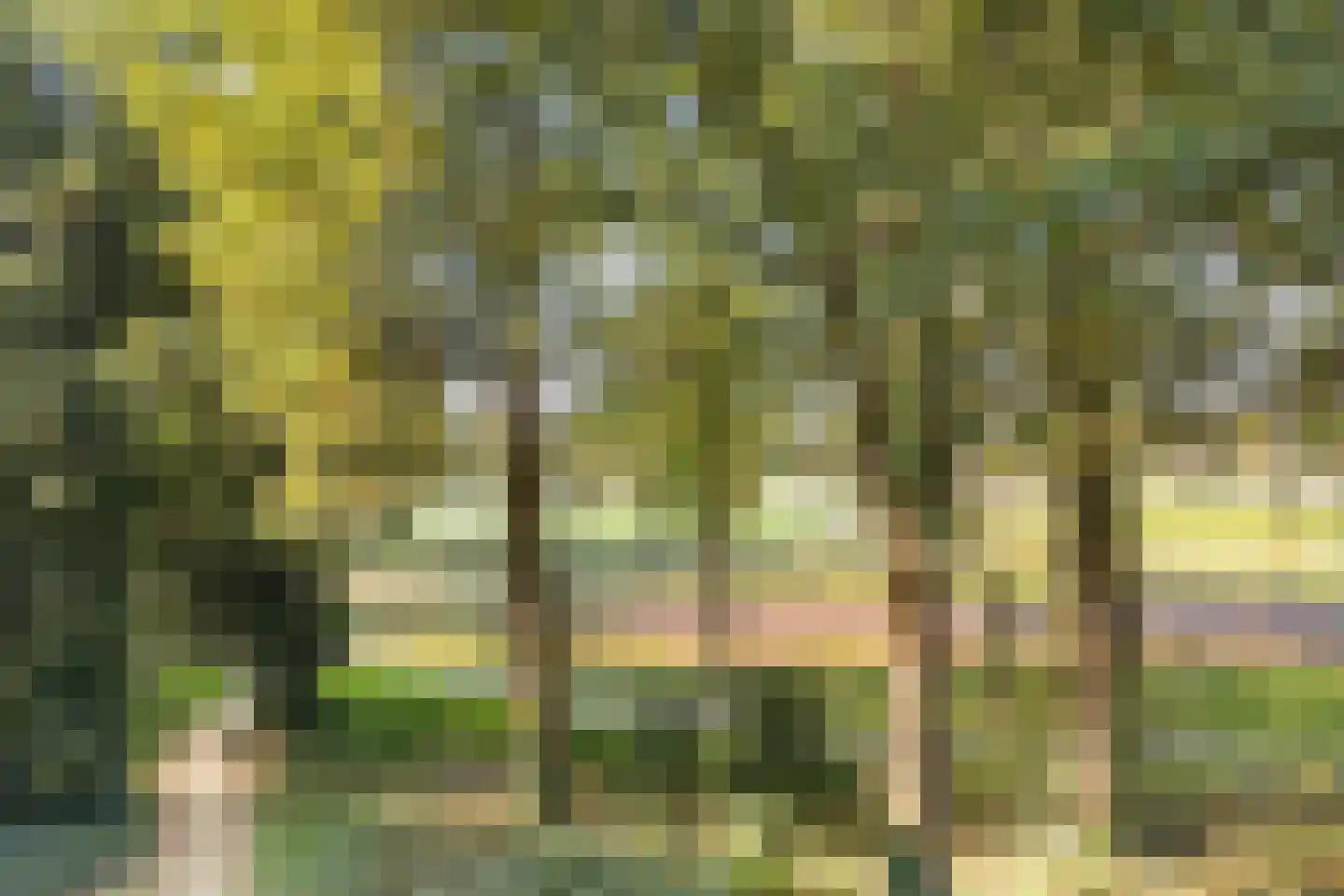 Geessinkweg 307 Enschede thumbnail 30