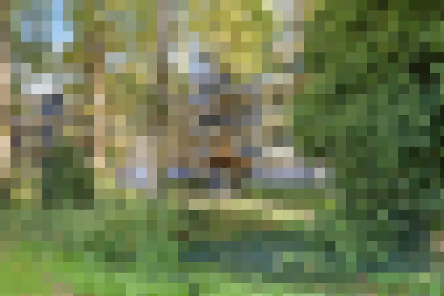 Geessinkweg 307 Enschede thumbnail 37