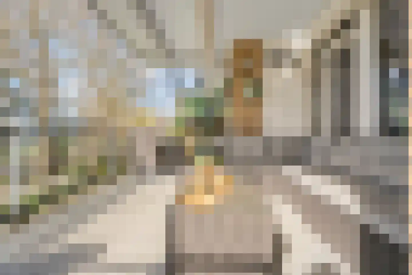 Geessinkweg 311 Enschede thumbnail 39