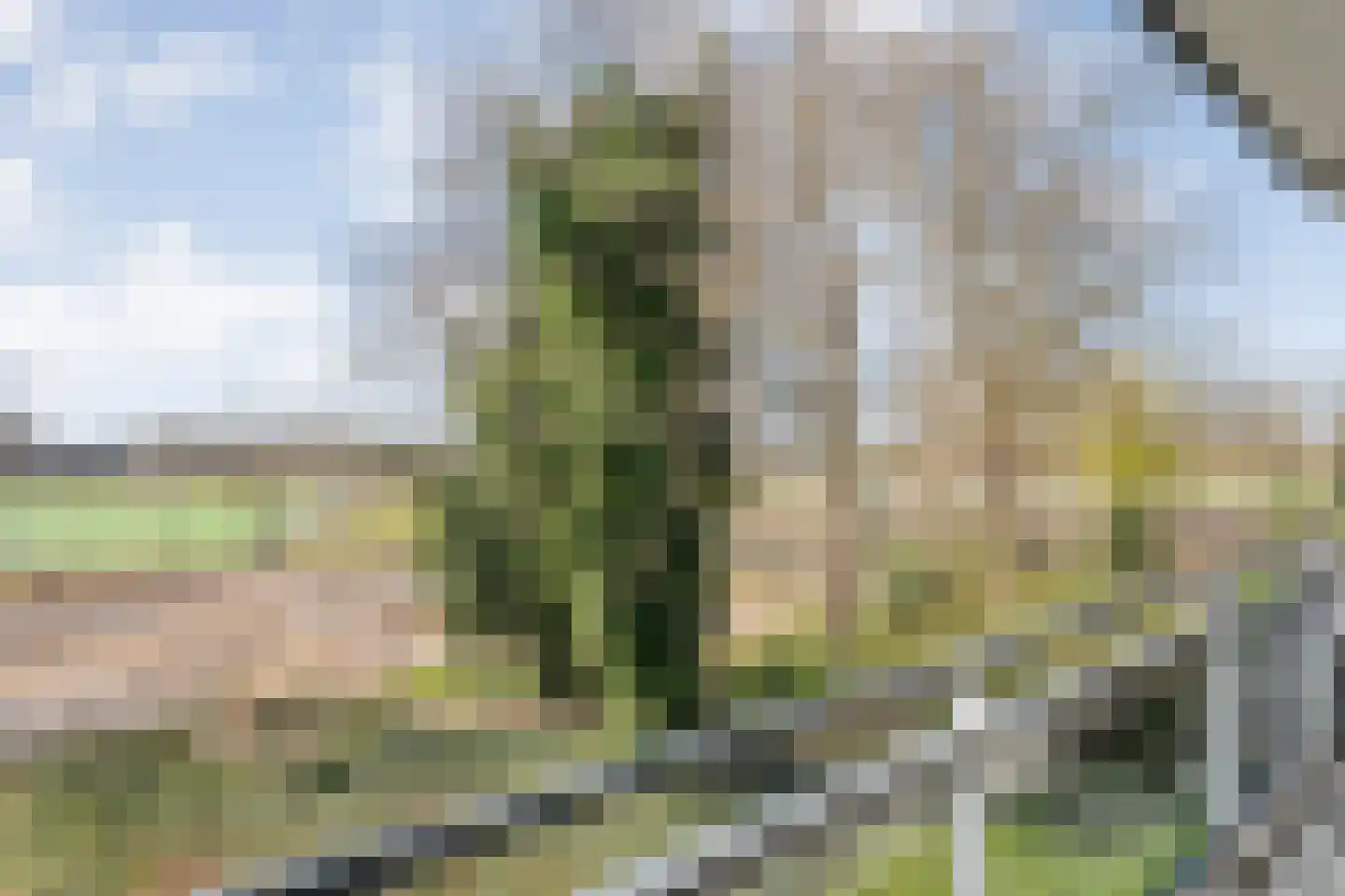 Geessinkweg 311 Enschede thumbnail 40