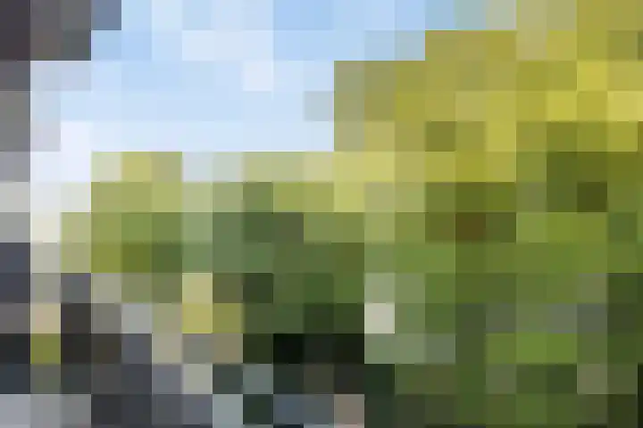 Geessinkweg 321 Enschede thumbnail 23