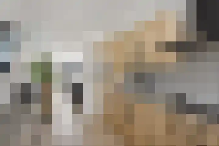 Geessinkweg 65 Enschede thumbnail 18