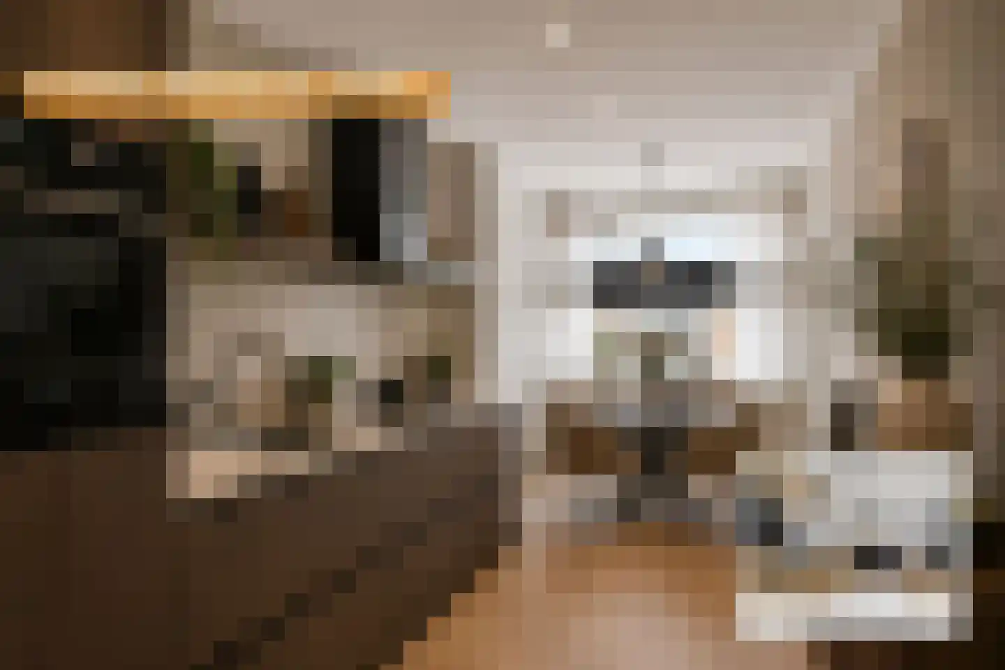 Geessinkweg 65 Enschede thumbnail 19