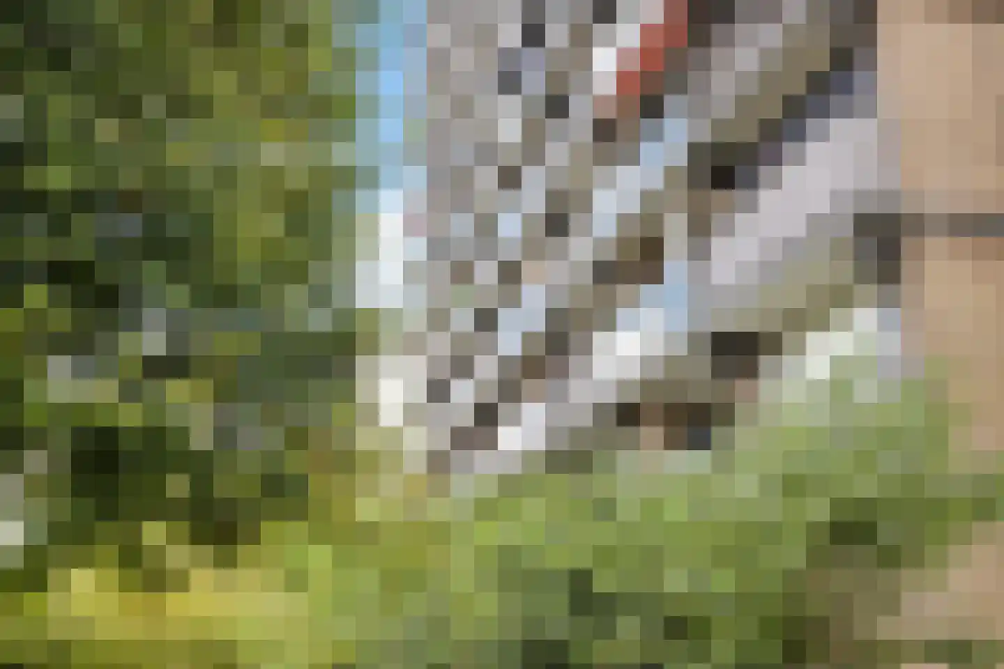 Geessinkweg 65 Enschede thumbnail 5