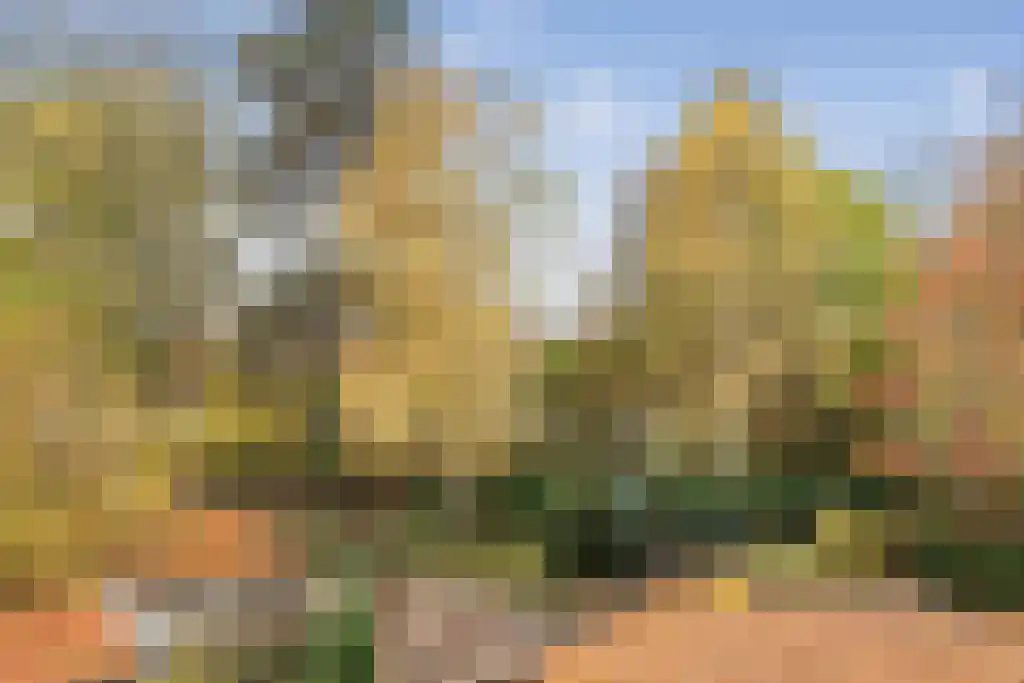 Geest 18 Alkmaar thumbnail 34
