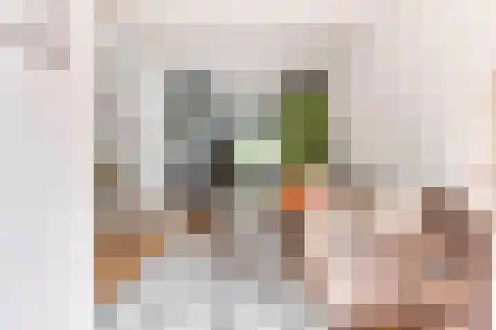 Geest 32 Alkmaar thumbnail 10