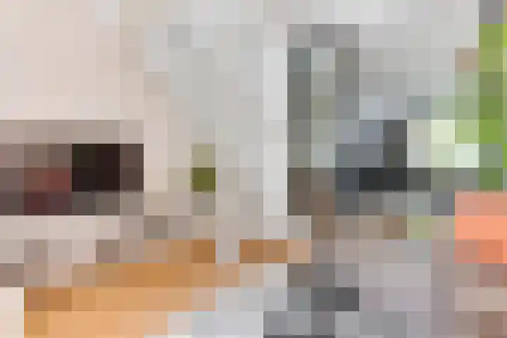 Geest 32 Alkmaar thumbnail 11