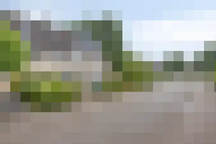 Geest 32 Alkmaar thumbnail 18
