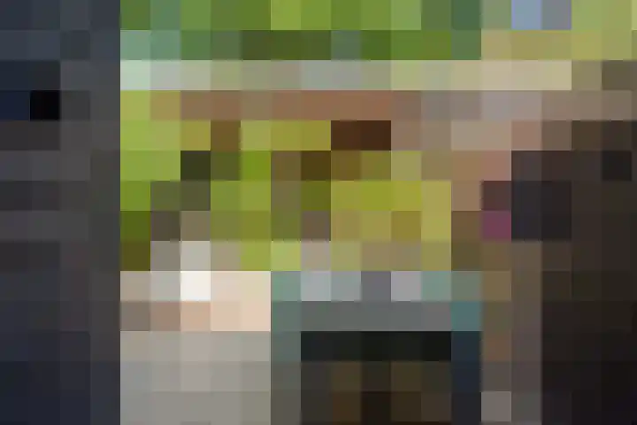 Geest 32 Alkmaar thumbnail 31