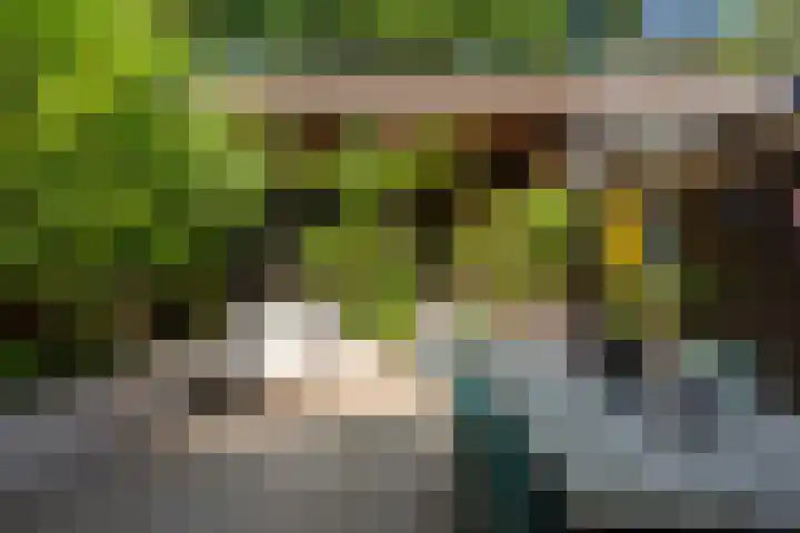 Geest 32 Alkmaar thumbnail 33