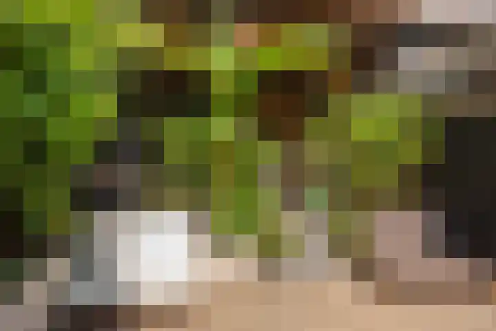 Geest 32 Alkmaar thumbnail 34