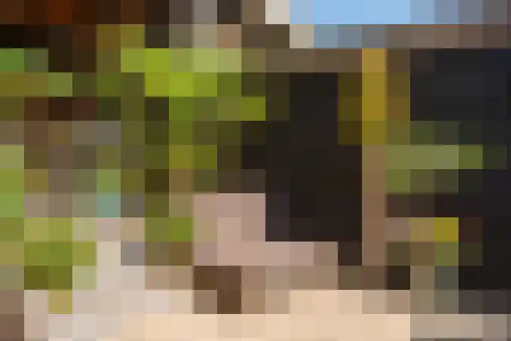Geest 32 Alkmaar thumbnail 35
