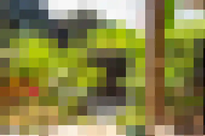 Geest 32 Alkmaar thumbnail 36
