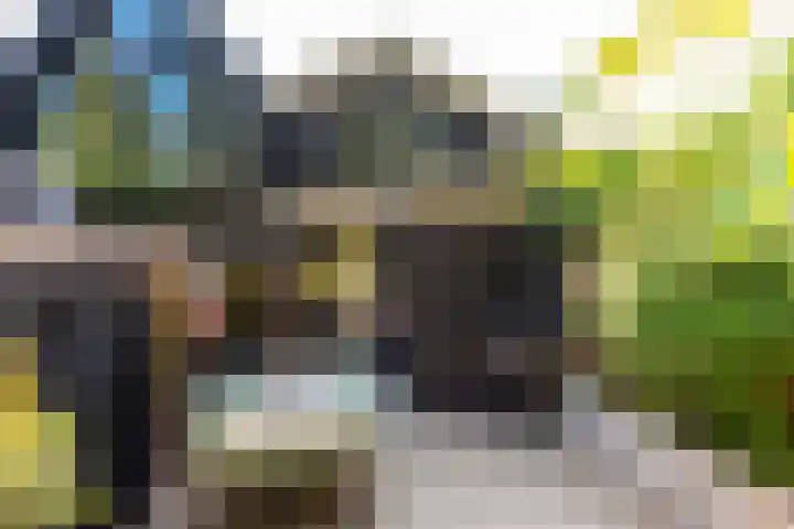 Geest 32 Alkmaar thumbnail 37