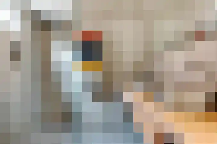 Geest 32 Alkmaar thumbnail 4