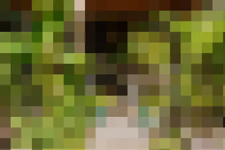 Geest 32 Alkmaar thumbnail 40