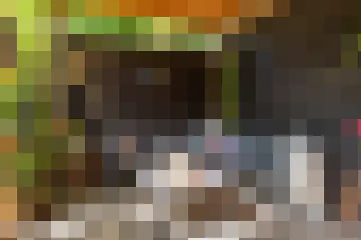 Geest 32 Alkmaar thumbnail 41