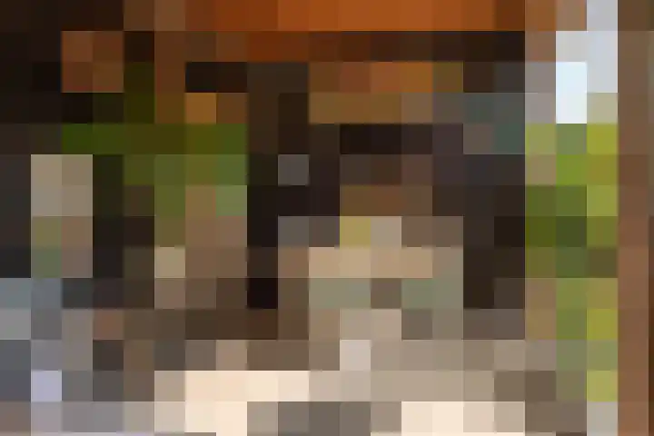 Geest 32 Alkmaar thumbnail 42