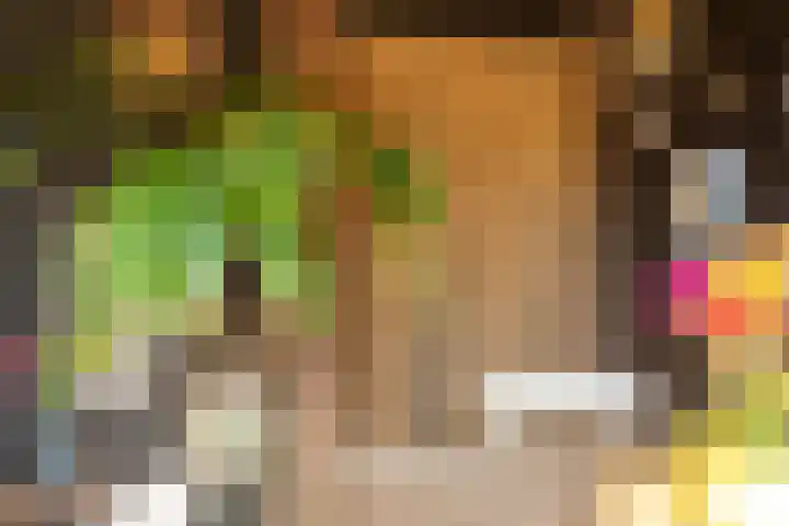 Geest 32 Alkmaar thumbnail 43