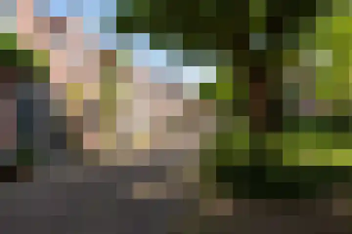 Geest 32 Alkmaar thumbnail 48