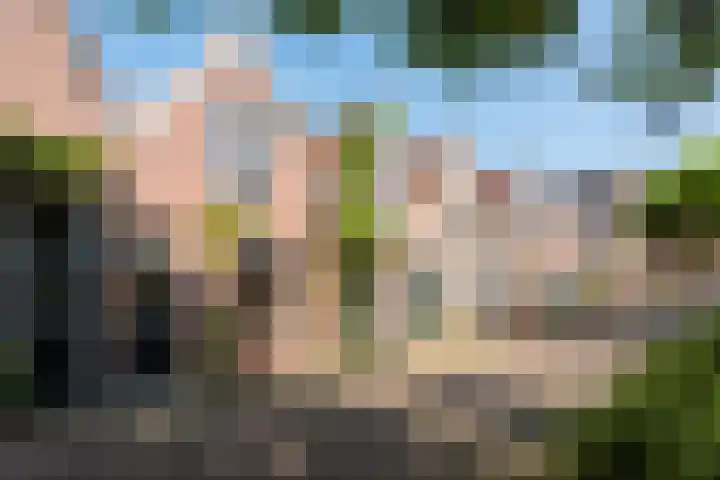 Geest 32 Alkmaar thumbnail 49