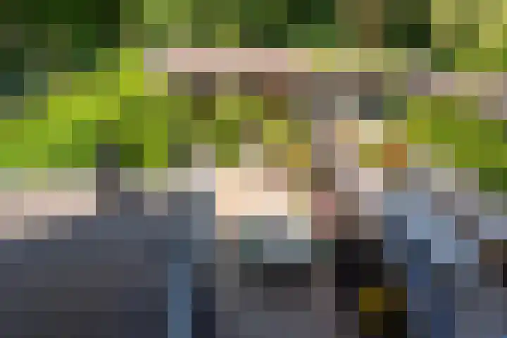 Geest 32 Alkmaar thumbnail 5