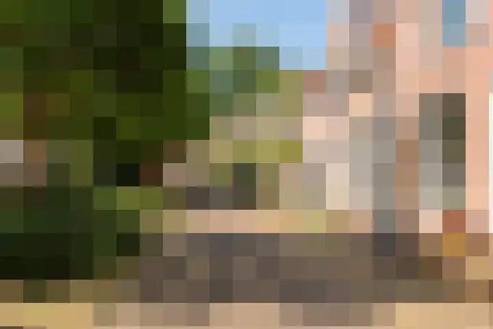 Geest 32 Alkmaar thumbnail 50
