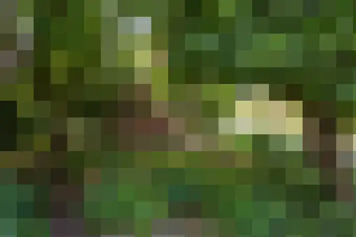 Geest 32 Alkmaar thumbnail 54