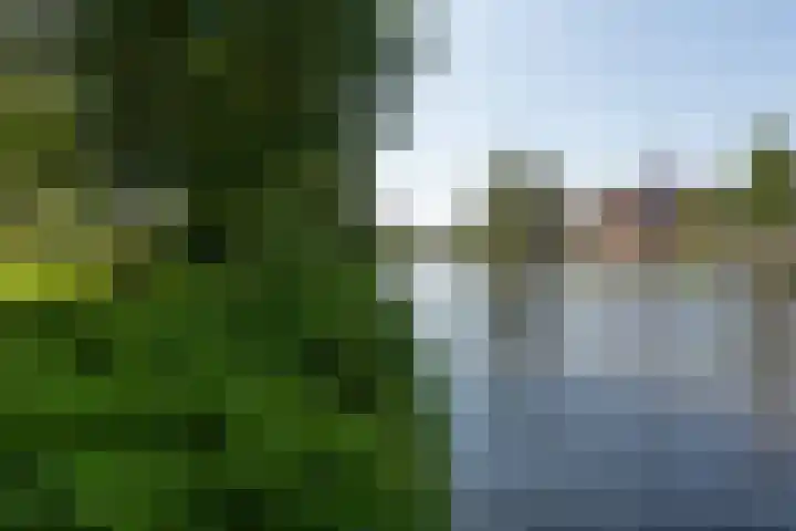 Geest 32 Alkmaar thumbnail 55