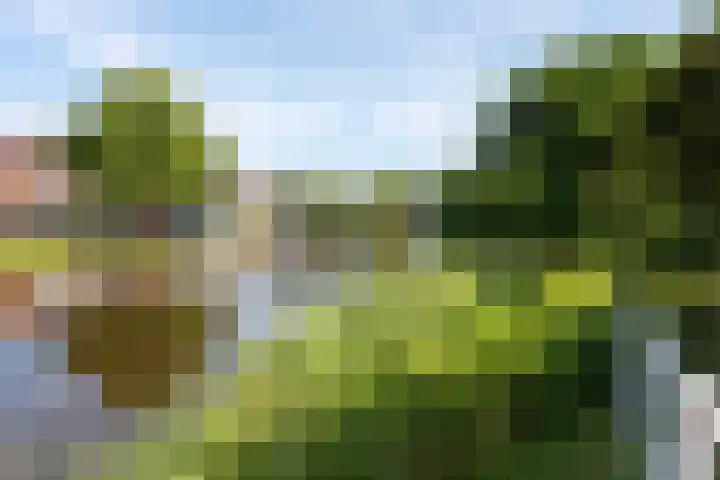 Geest 32 Alkmaar thumbnail 56
