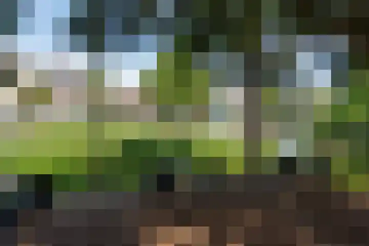 Geest 32 Alkmaar thumbnail 57