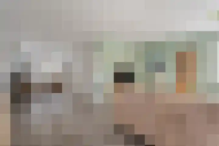 Geest 32 Alkmaar thumbnail 60