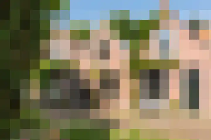 Geest 32 Alkmaar thumbnail 61