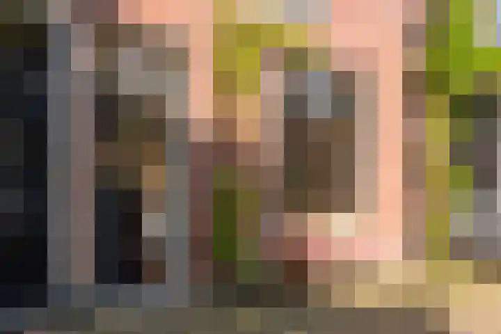 Geest 32 Alkmaar thumbnail 8