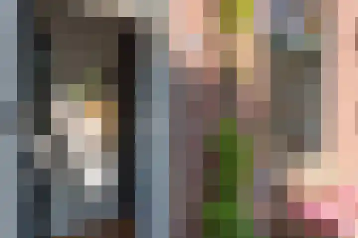 Geest 32 Alkmaar thumbnail 9