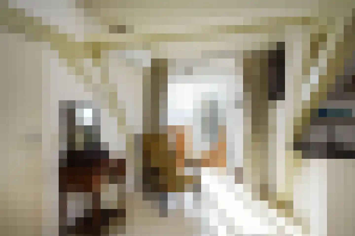 Geest 32 Den Haag thumbnail 31